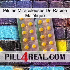 Pilules Miraculeuses De Racine Maléfique new10